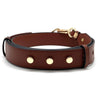 Bag Strap - Trios in Gold: Saddle
