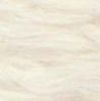 Cumulus Cotton - White Lion - Bag of 6