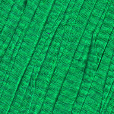 Elba - 100% Cotton Tape Yarn - Bright Green